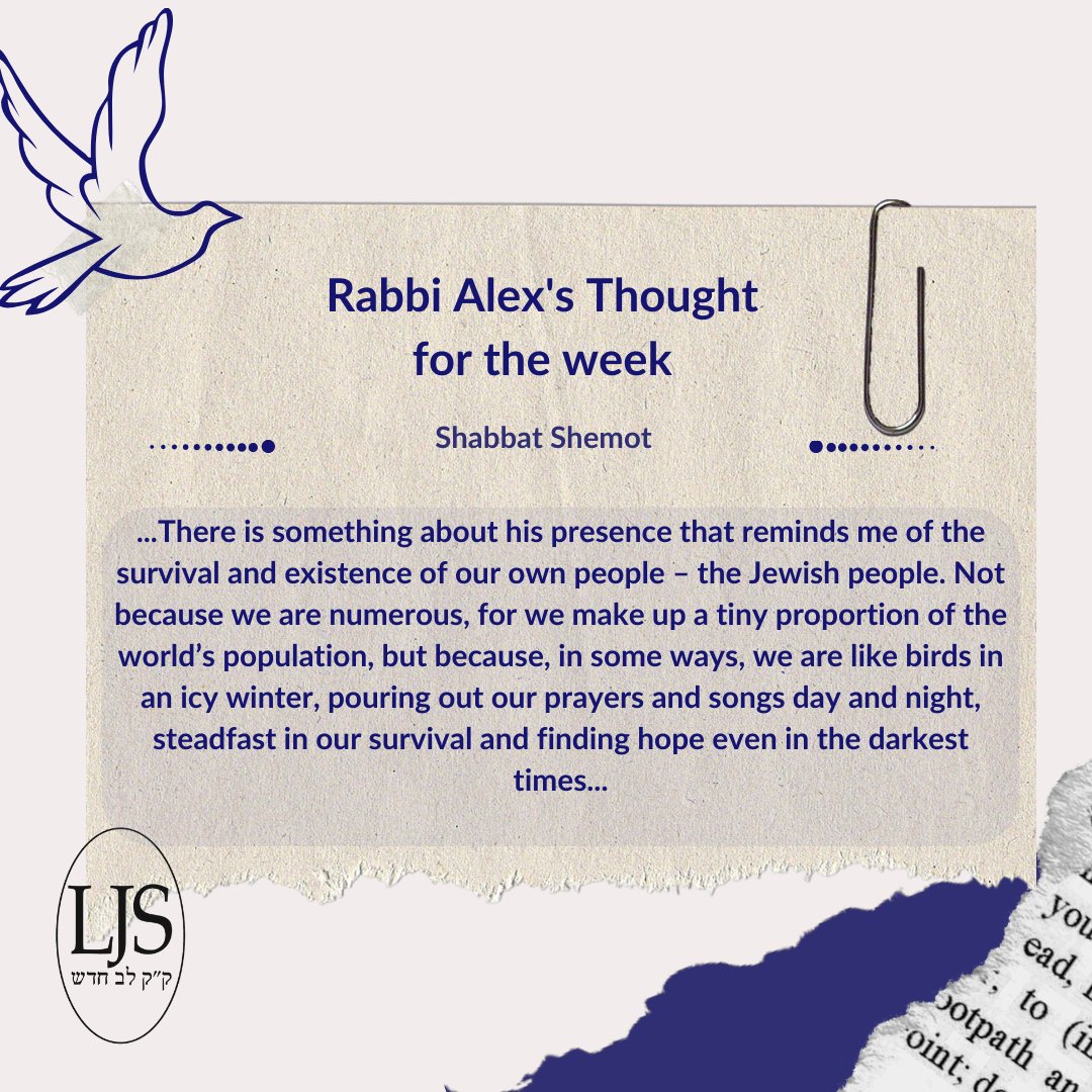 Rabbi Alex shares her Thought for the Week #LJSTFTW. Read the full article here: ow.ly/Tlh750Qoac1