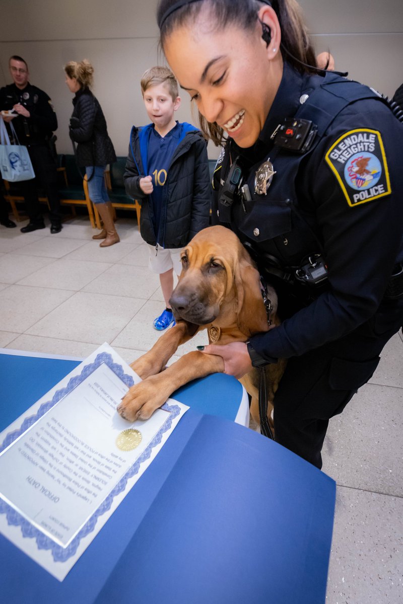 GHPoliceDept's tweet photo. The #GHPD welcomed our newest K-9 to the Department. Meet K-9 Officer Ivy #407. To learn more, please see the following press release: https://t.co/msn0Kbxt03 https://t.co/HgHGeVQlxb