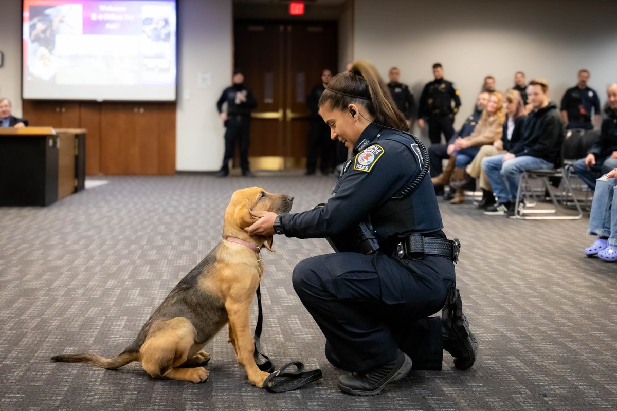 GHPoliceDept's tweet photo. The #GHPD welcomed our newest K-9 to the Department. Meet K-9 Officer Ivy #407. To learn more, please see the following press release: https://t.co/msn0Kbxt03 https://t.co/HgHGeVQlxb