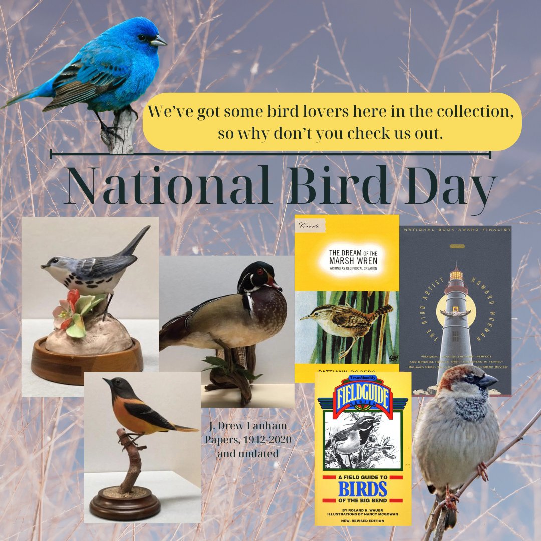 sowellcollect's tweet photo. It's #NationalBirdDay! We've got some bird lovers here, like @wildandincolor, Pattiann Rogers, Howard Norman and Ro Waur. Check out their collections for more birds
#sowellcollection #literature #community #nature #archives #birds https://t.co/OdrigfMKS1