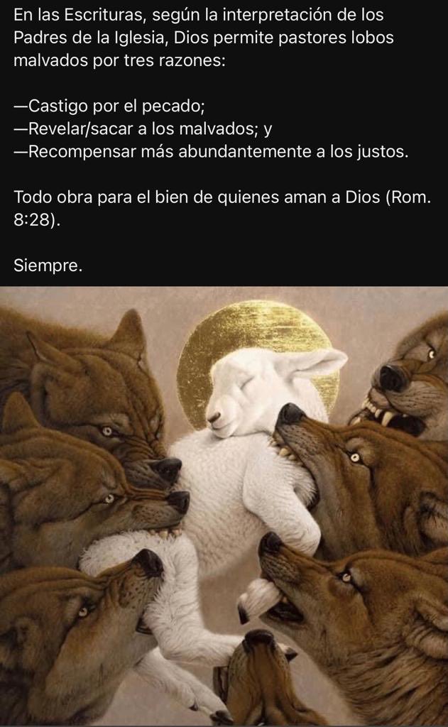 NenePeguero's tweet photo. Atentos y vigilantes , ora et labora https://t.co/jt33PUp8g5