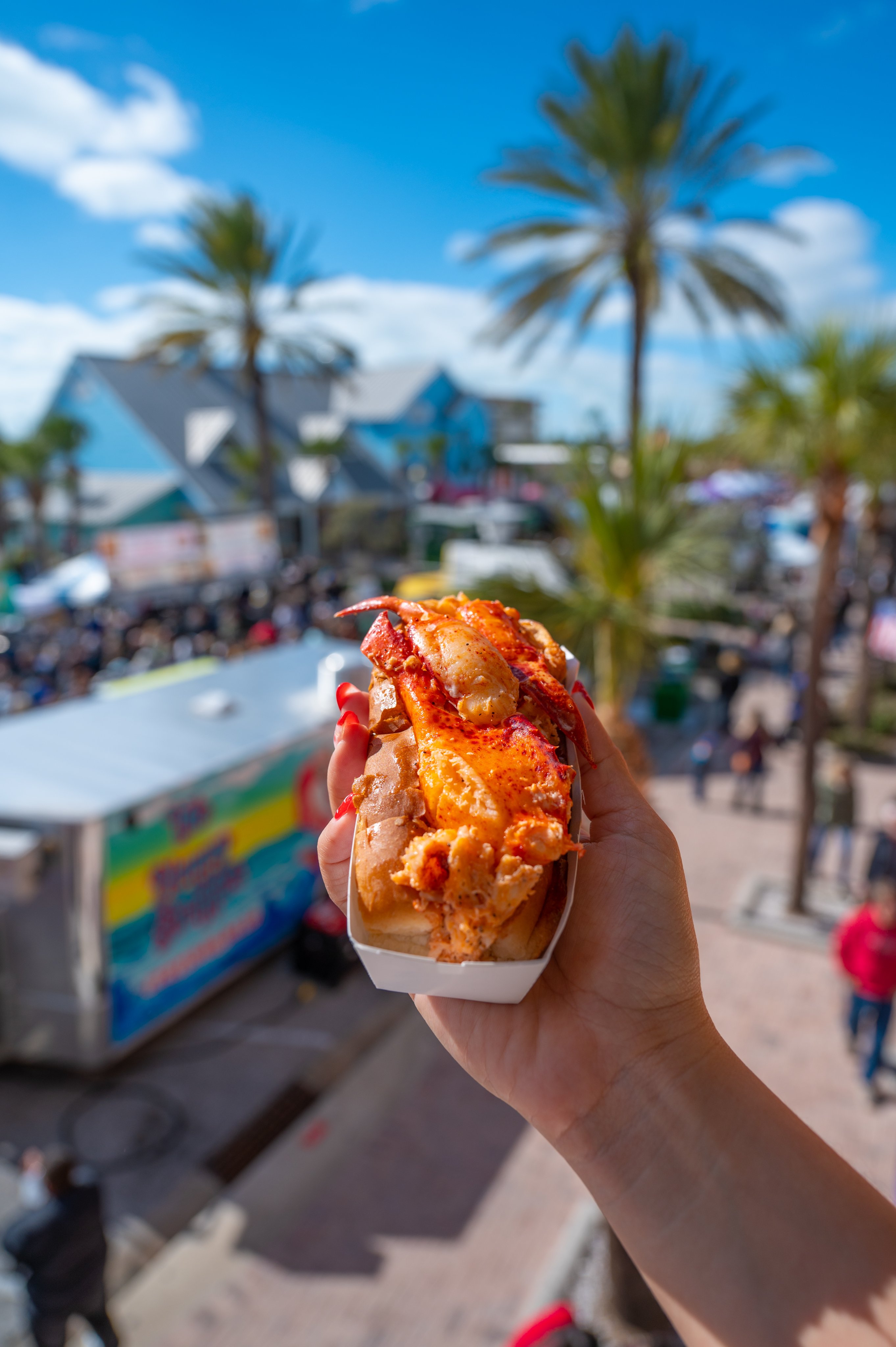 St Pete Seafood Festival 2024 Schedule Gavra Joellyn