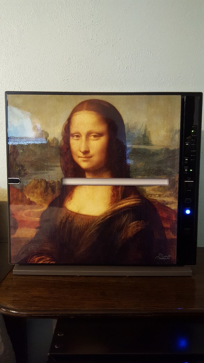Flashing back to when the enigmatic smile of the Mona Lisa graced our MinusA2 air purifier. It was more than a filter; it was a statement of timeless art in our homes.

 #RenaissanceInARoom #CleanAirMeetsClassicArt #TBT