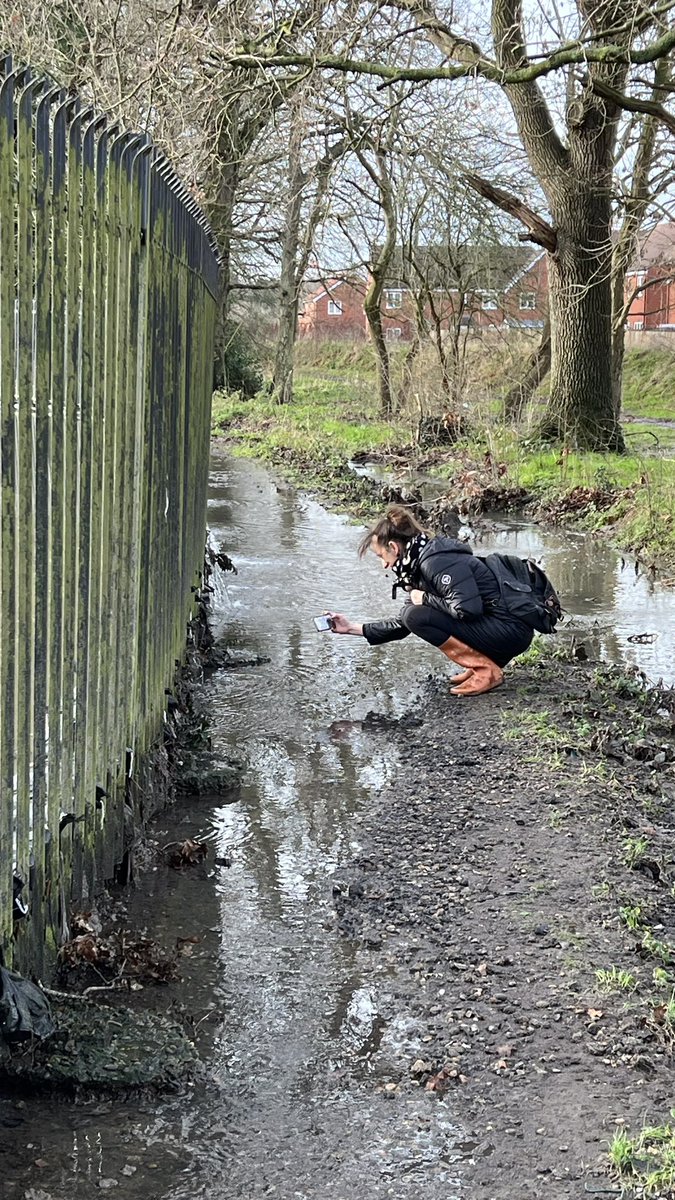 SirGeogy's tweet photo. ‼️Worst we’ve seen so far at #Horley today! turds float into public area, sewage fungus on footpaths, whole LAKES of sewage in fields contaminated with algal blooms and Cyanobacteria from raw sewage .. next to housing. Direct locals from walking straight into streams of sewage 🤢 https://t.co/FC1DOFH4AX