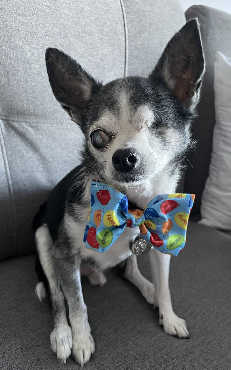 Guess What Everyone….
Today Is My Birthday…..
I’m 15 And Fabulous 🎉🎉

Happy Birthday To Me!!