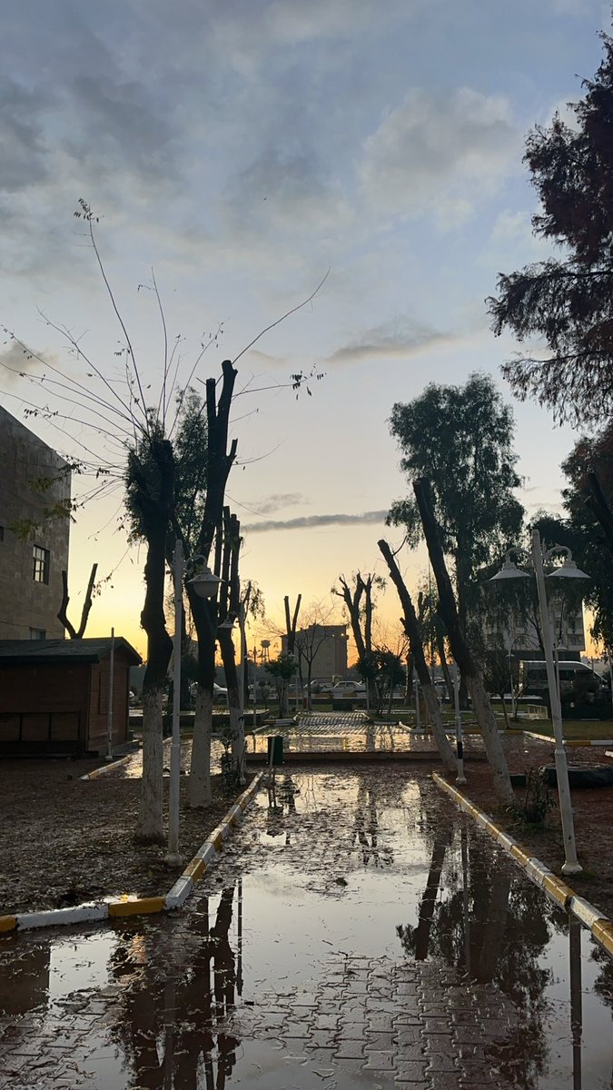 Fatih (@fat1hgcmn) on Twitter photo 