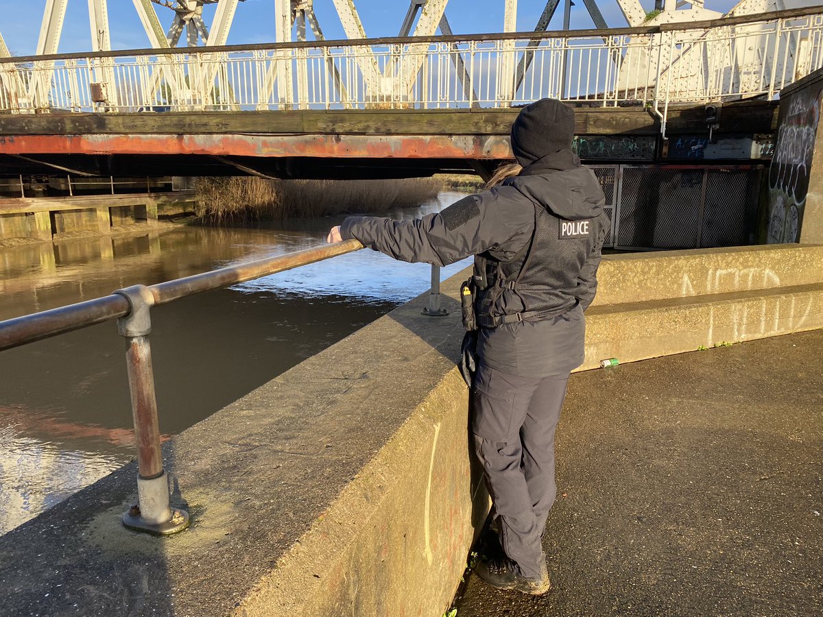 HPMarineProtect's tweet photo. This week the team have been closely monitoring the River Hull, looking at how we can best meet the needs of the communities in the future and providing reassurance to those who live along the banks.  Including a spot of negotiating with some ‘locals’ to allow us through. 🐮 https://t.co/vGPK8F0KOZ