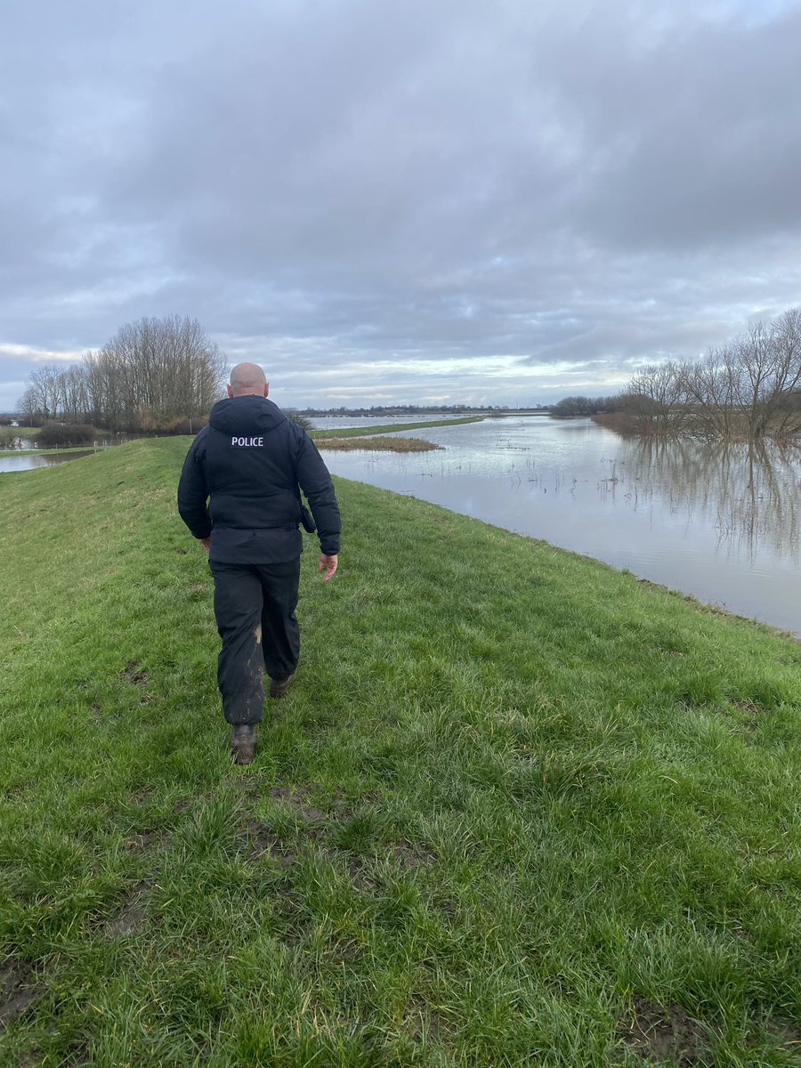 HPMarineProtect's tweet photo. This week the team have been closely monitoring the River Hull, looking at how we can best meet the needs of the communities in the future and providing reassurance to those who live along the banks.  Including a spot of negotiating with some ‘locals’ to allow us through. 🐮 https://t.co/vGPK8F0KOZ