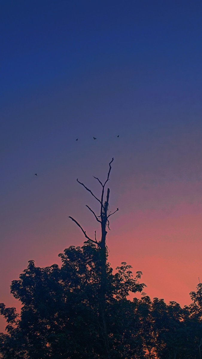 Flamed_boy's tweet photo. ||Sky lapse||
.
.
Shot on:- @iqooind 
.
.
#tripura_ig #indianphotography #indiapictures #discoverindia #indianphotography #photoofthemonth #mypixeldiary #indiaphotostory #incridibleindia #coloursofindia #igs_world #streetsofindia #streetphotographyinternational 
#Pritamretouch https://t.co/aJuuThalCr
