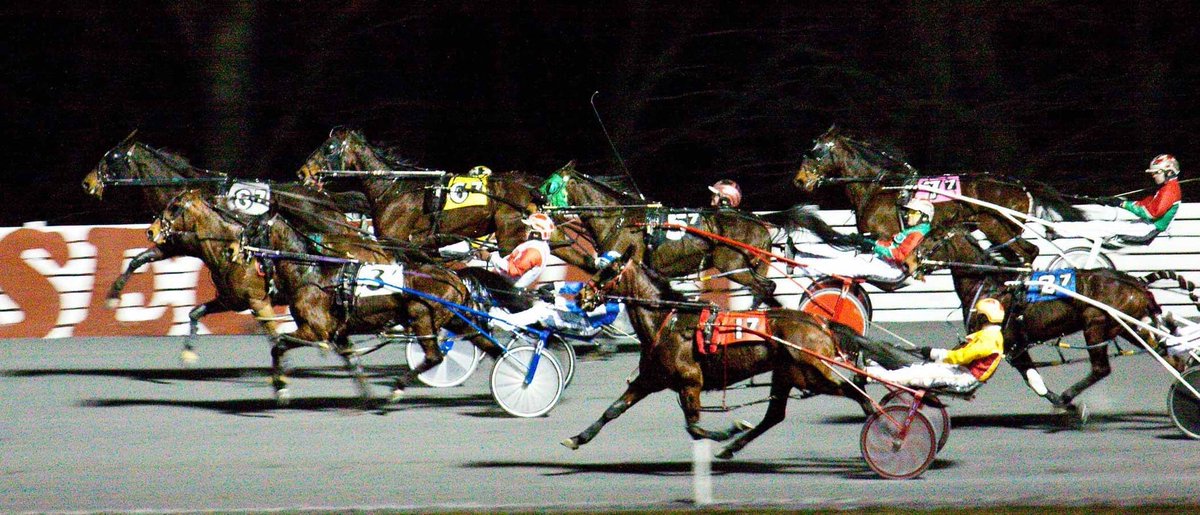 Check out the latest racing calendar for the 2024 Winter-Spring meet at Rosecroft.com!

#Rosecroft