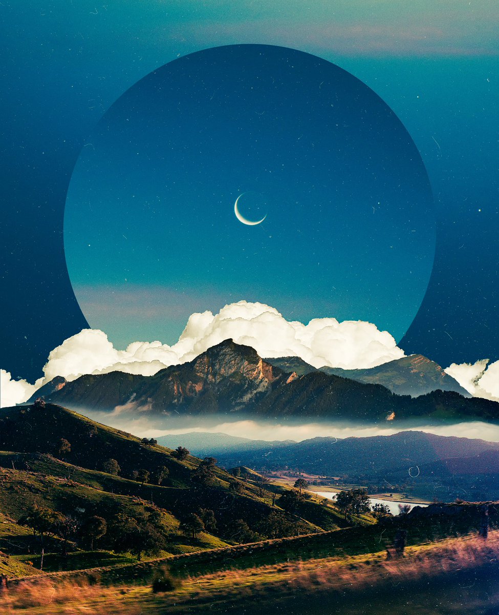 POSTWOOK's tweet image. blue january