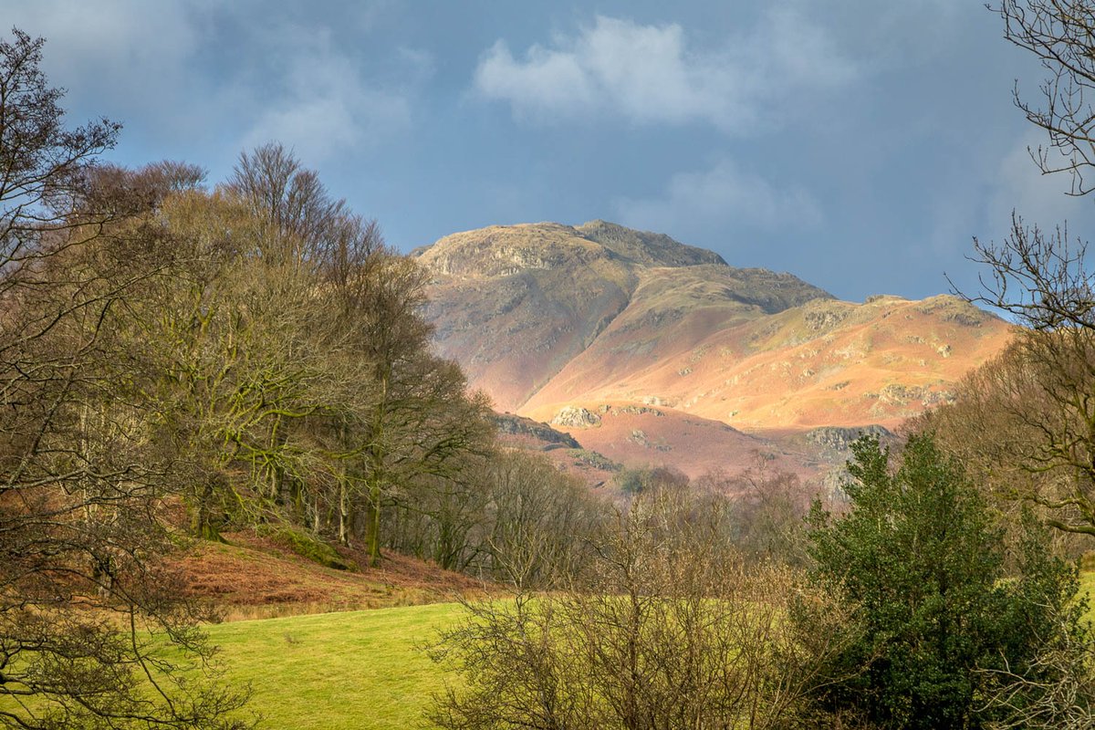 andrewswalks's tweet photo. A walk up Silver How #Cumbria
https://t.co/Y5jNjbccFY https://t.co/OICTaXRGmG