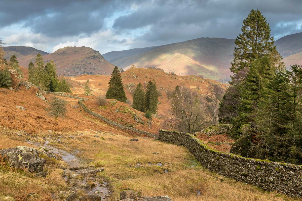 andrewswalks's tweet photo. A walk up Silver How #Cumbria
https://t.co/Y5jNjbccFY https://t.co/OICTaXRGmG