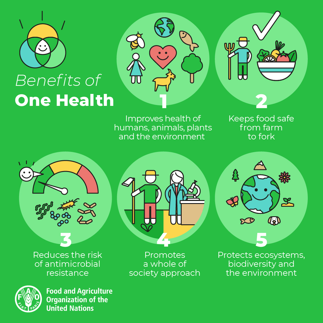 To build a better future for all, we need to address global health issues. To do this, we must collaborate across all sectors. Why? Because human, animal, plant and environmental health are all inextricably linked. #OneHealth #AntimicrobialResistance #WorldHealthDay