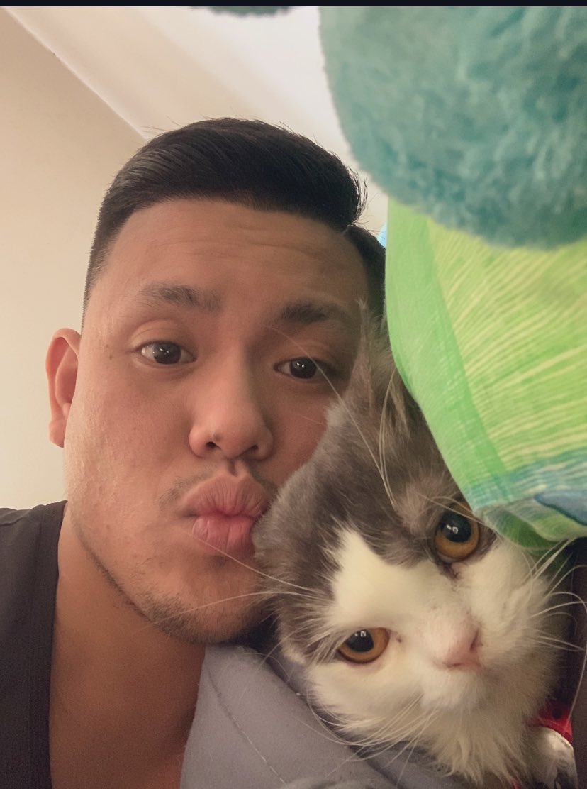 TitoClyde's tweet photo. In memory of our beloved cat, Keio. 2021-2024. Until then, our little boy. https://t.co/eZa54ygnLp