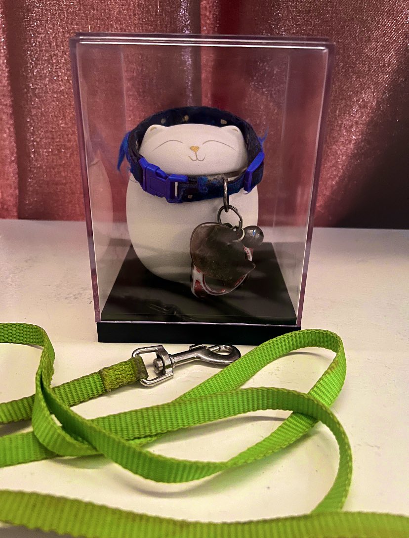 TitoClyde's tweet photo. In memory of our beloved cat, Keio. 2021-2024. Until then, our little boy. https://t.co/eZa54ygnLp