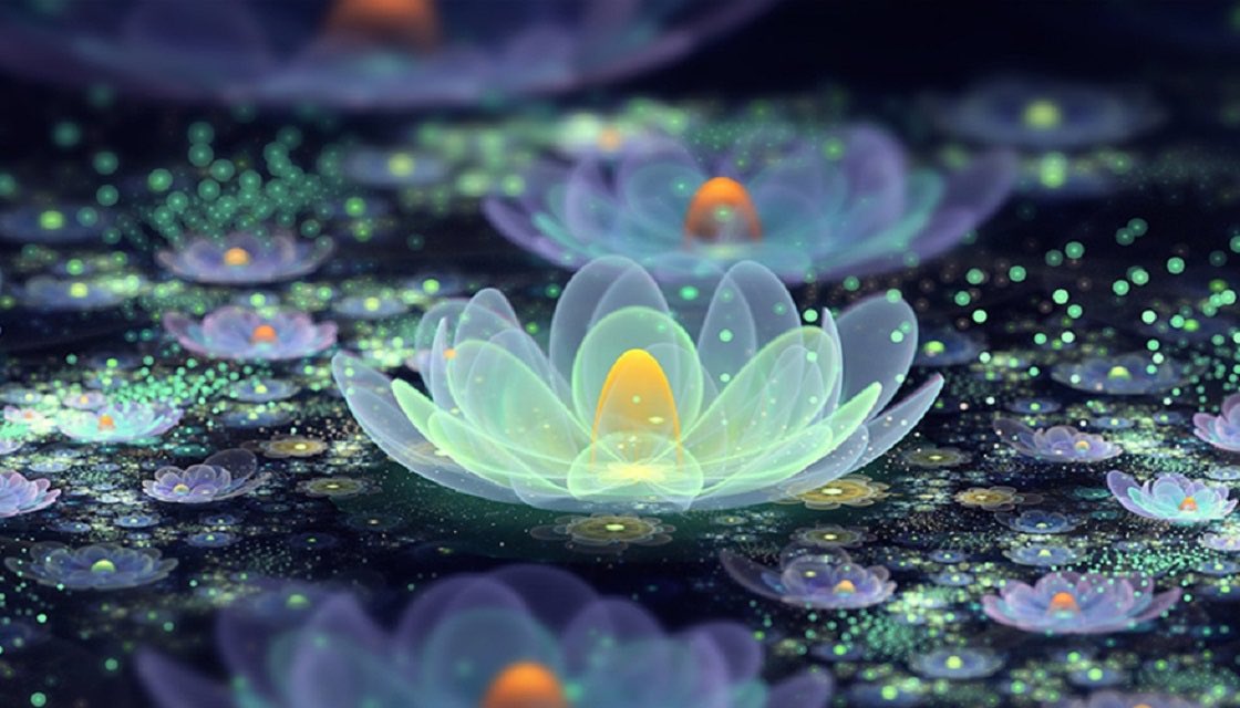 #LoveAndLight the lotus rises from the dark depths into beauty...into light #poemsforpeace artist: unknown #PeaceOnEarth w e r i s e