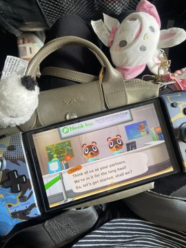 burnsabandon's tweet photo. i miss animal crossing SMMmMM (im restarting mi island mwheheheuhe) https://t.co/pOgWFDl7QG