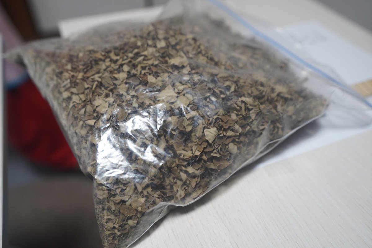 AsiaHunter_com's tweet photo. 昨夜のソニさんの家庭料理。まずはソジネパッタ(ドラムスティック)のトルカリ。毎年3〜4月に収穫期を迎えるソジネパッタはベンガルでも南インド同様、葉はバジやボルタ、花もチングリマーチと炒めたりする万能野菜。このトルカリを前菜的にギー塗布のチャパーティーといただく。葉は茶としても飲む。 https://t.co/RYXnKeT85l