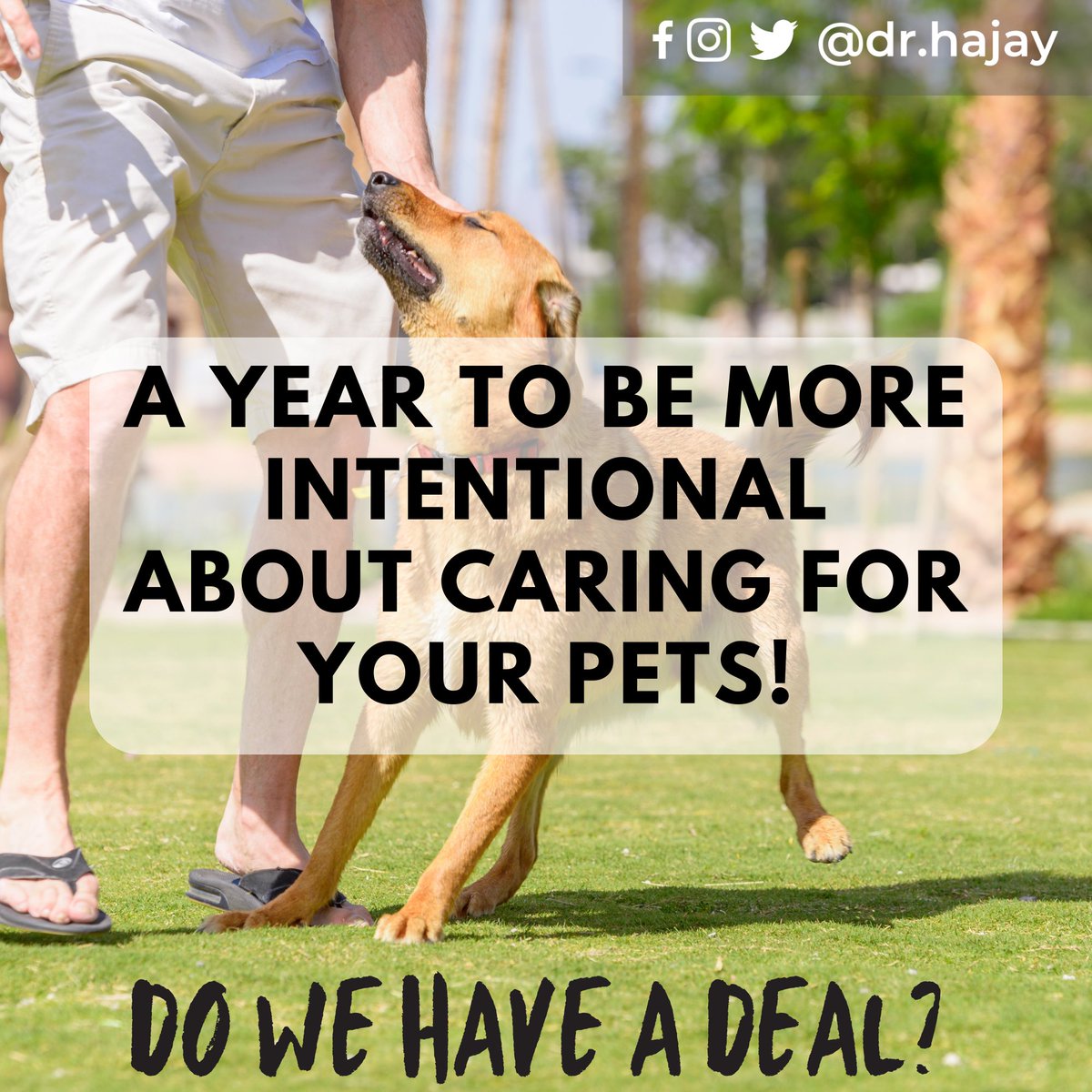 drhajay's tweet photo. It's a new year, Pet Lovers.

Let's make this commitment together as we journey through this new season.

Shall we? https://t.co/wUrG6qQOpl