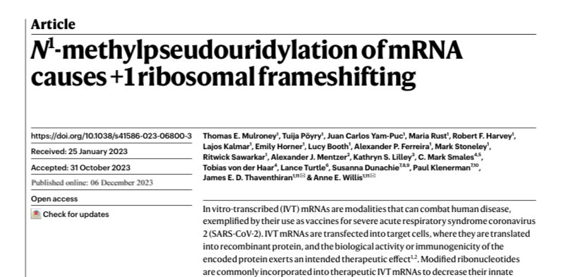 Freaking out 😱! RNA vaccines containing N1-methylpseudouridine elicit immune responses in vivo not only to the encoded protein(s) but also to products of frequent mistranslation nature.com/articles/s4158… caused eg by frameshifting (thanx Antoine Danchin for flagging this!)