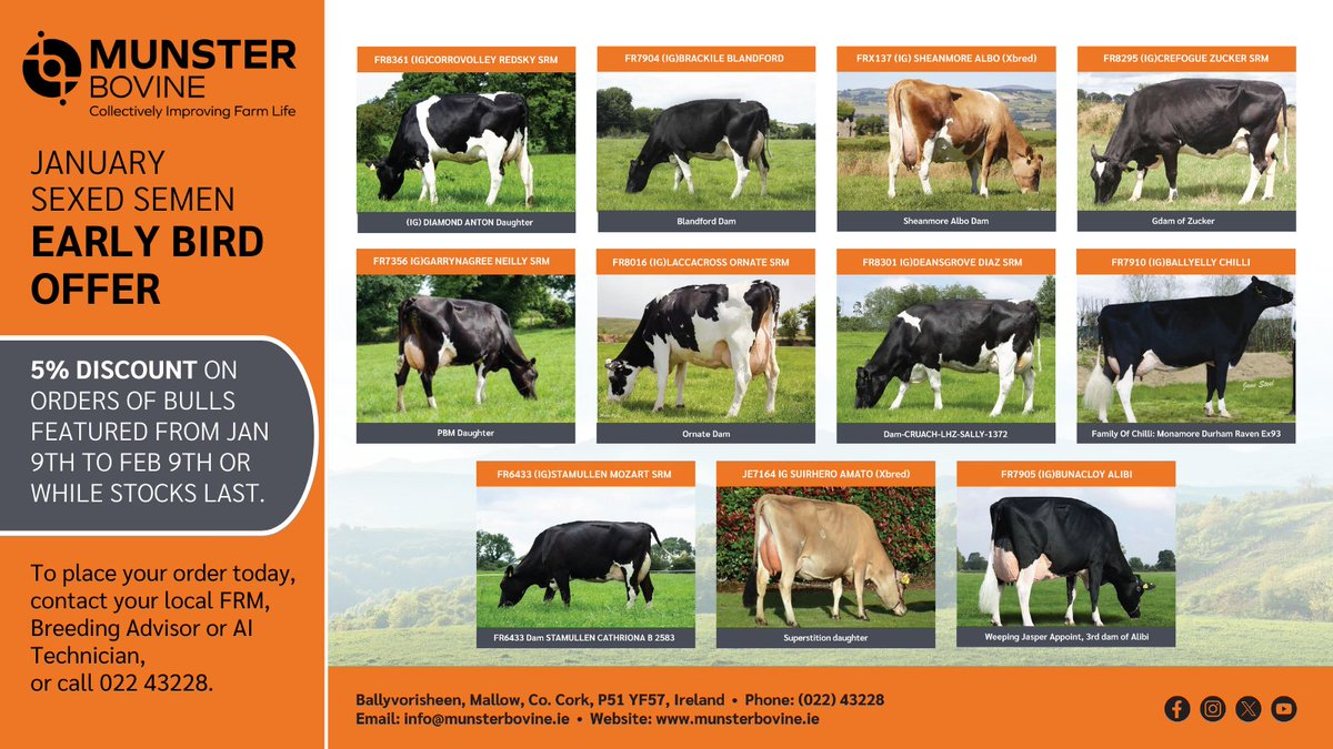 MunsterBovine's tweet photo. From now until February 9th, we're running our Sexed Semen Early Bird Special Offer! 📷 Get a 5% discount on orders of bulls featured - while stocks last!
https://t.co/O1Fere8uPr https://t.co/YD79z98ayl