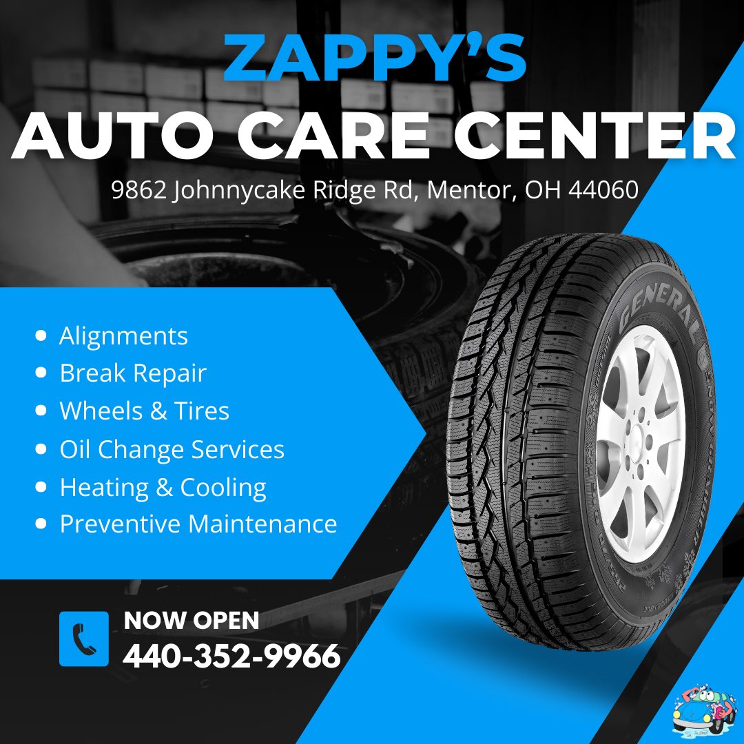 Leather Cleaner – Zappy's Auto Washes