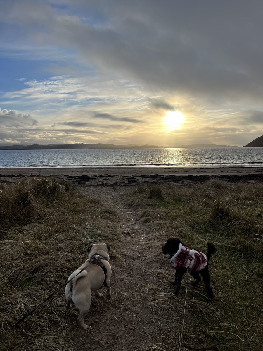 #bestie It’s been a tough start to the year but moments like these with the best doggo company and beautiful scenery make me feel pretty darn good! Carpe those diems, folks, thanks all I have to say for 2024 x 💙✌️🌊