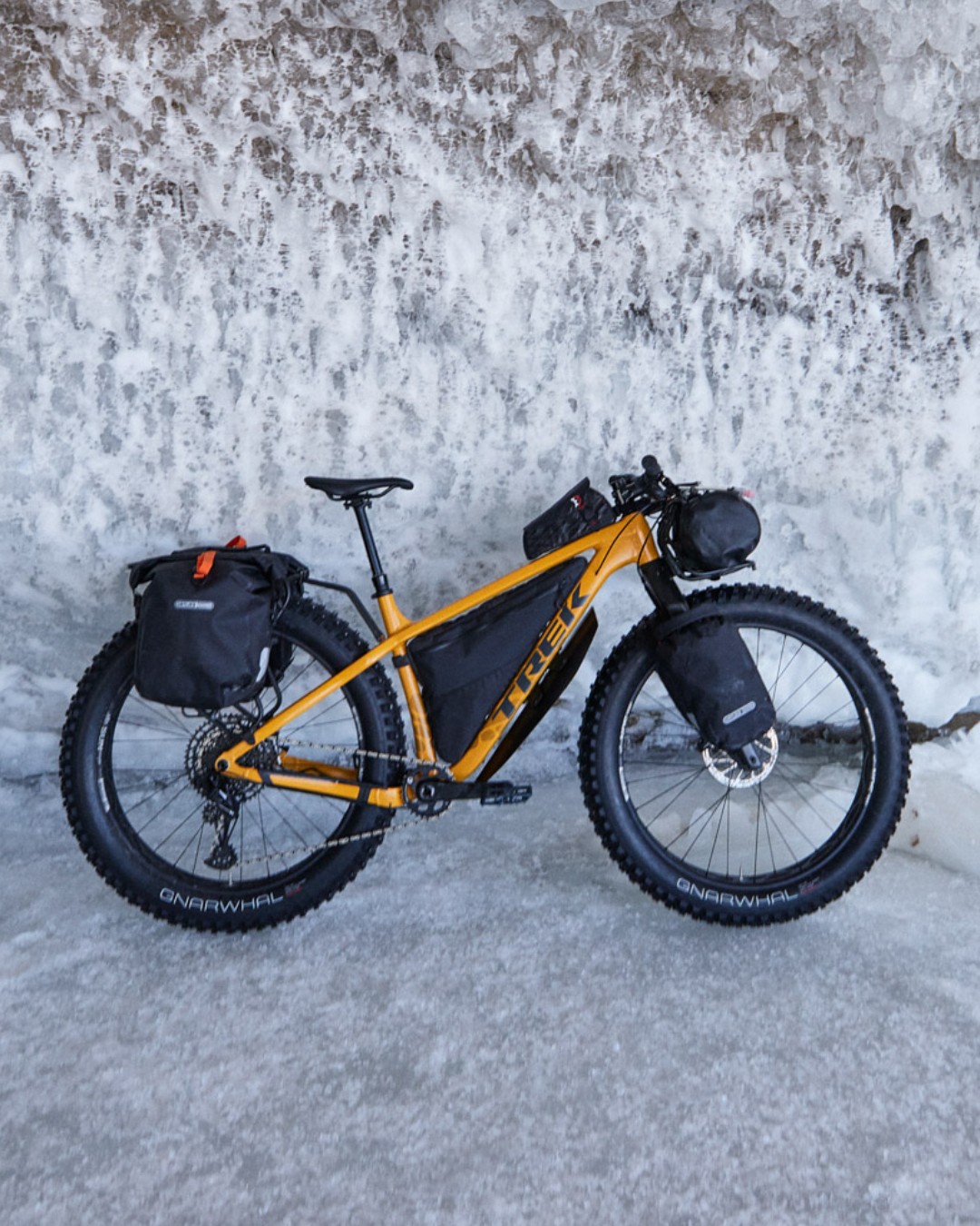Trek Bicycle on X