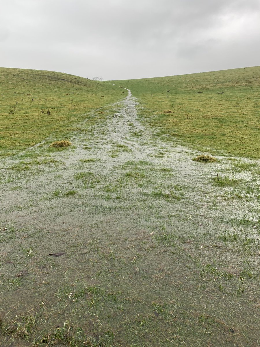 Alastair Driver tweet media