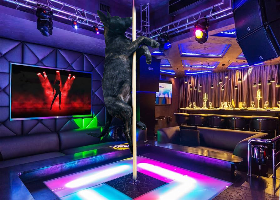 benouf39 tweet media