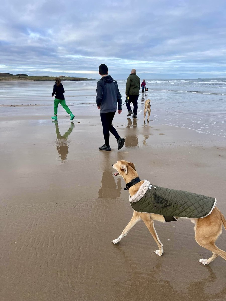 Beautiful last day off with the family.
I also had plans to finish up so many games but I got addicted to the new Warzone update… :/