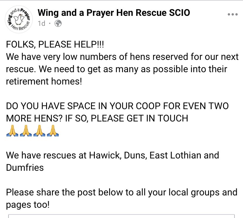 WAAP Hen Rescue tweet media