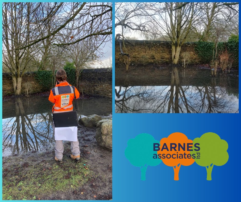 We didn't think we'd be swimming today! 

Our visual tree assessments can be done from a distance, so not a problem if your trees are looking like they're having a paddle! 💦 🌳
#VisualTreeAssesments #Flooding #BS5837 #SurveysforDevelopers #TreeRiskAssessments #SafetyReports
