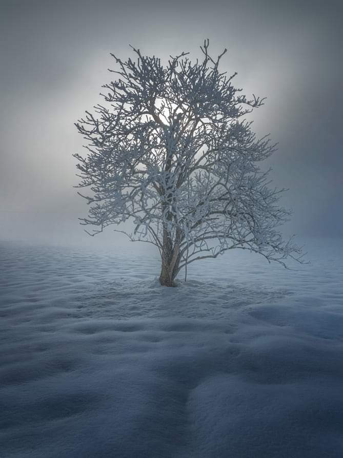 mashal151190's tweet photo. Good Night
#Winterdarkness https://t.co/n29KWuRbNL