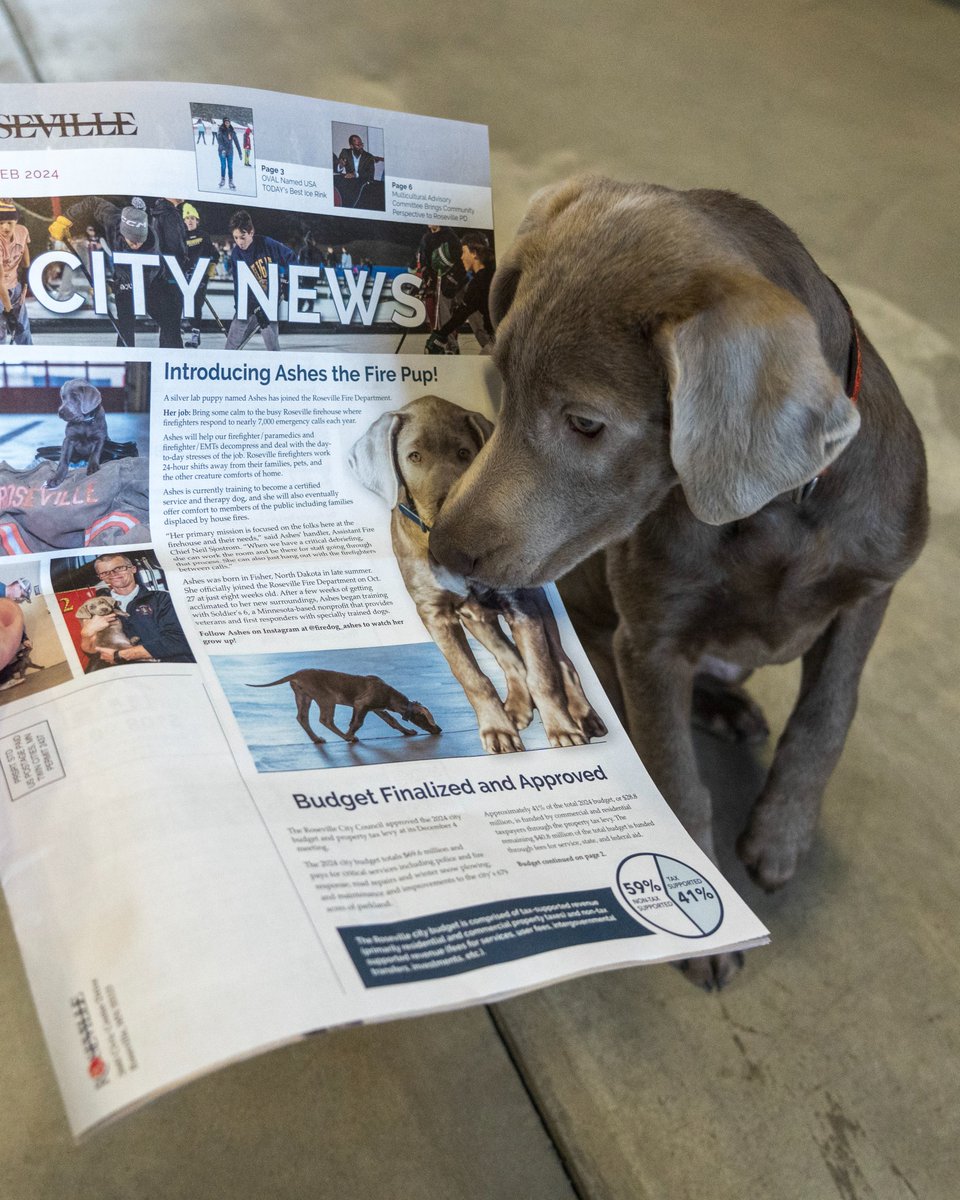 Roseville, MN tweet media