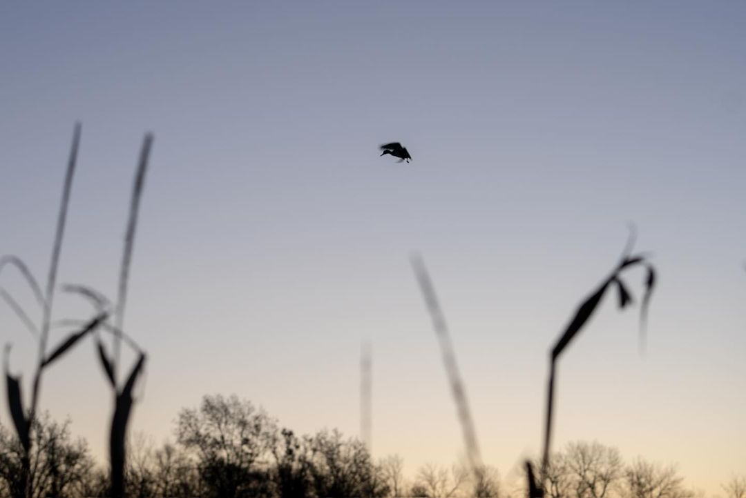 WAYPOINT tweet media