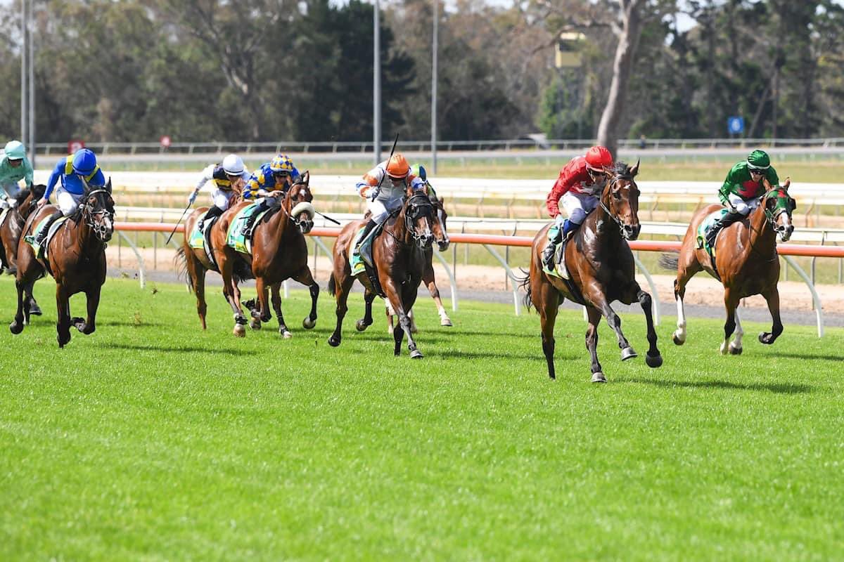 Patience is a virtue.  Finally our gorgeous boy Winds of March gets to his correct distance with J Mott on board.  Wins by more than   3 lengths.  Trained by Simon Zahra.  Congrats to the thoroughbred girls.