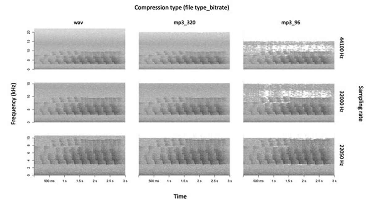 New paper of interest for folks with large acoustic datasets!

We examined the effects of compressing ARU recordings to MP3 on acoustic indices, recognizer performance, and community listening

#bioacoustics #ecoacoustics

tandfonline.com/doi/full/10.10…