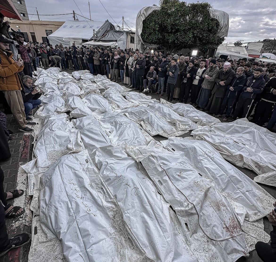 لَيْسُوا أرقاماً أبداً
كلُّهم كان لديهم حياة، وأحلام، وأحبّة