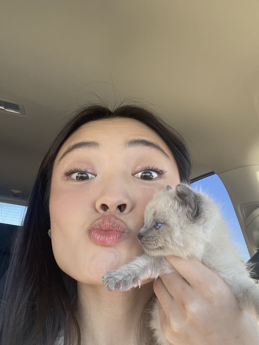 do they make brown contacts for kittens? their blue eyes are scaring me https://t.co/tmFtJU9eVC<a href="/tag/thehungergames"class="tags"><span>&#35;thehungergames</span></a><a href="/tag/theballadofsongbirdsandsnake"class="tags"><span>&#35;theballadofsongbirdsandsnake</span></a>