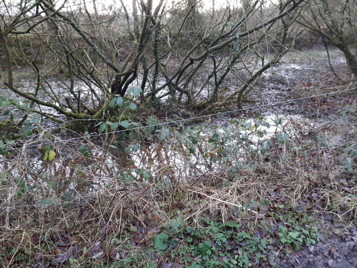 west_devon_info's tweet photo. With a busy diary and the inclement weather I managed my first bike ride for nearly a month just before sunset today.
It was a bit wet under my wheels in #Cookworthy Forest, to say the least!
#PersonalTransport
π¦οΈπ΅ββοΈπ€οΈ(π-ποΈ)! https://t.co/XdKwhhdMRU