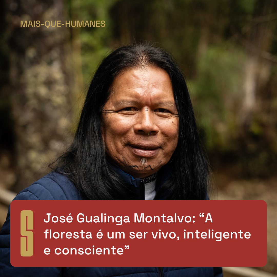 O povo Sarayaku, da Amazônia equatoriana, propõe às sociedades humanas a adesão ao conceito de ‘Kawsak Sacha’, ou Floresta Viva, para mudar as relações de destruição que levaram o planeta ao colapso climático.