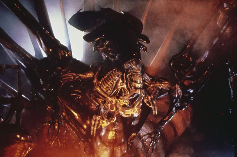NatBrehmer's tweet photo. Why did we ever stop lighting movies like this https://t.co/FQgCuB4gXA
