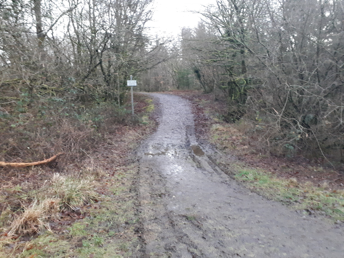west_devon_info's tweet photo. With a busy diary and the inclement weather I managed my first bike ride for nearly a month just before sunset today.
It was a bit wet under my wheels in #Cookworthy Forest, to say the least!
#PersonalTransport
π¦οΈπ΅ββοΈπ€οΈ(π-ποΈ)! https://t.co/XdKwhhdMRU