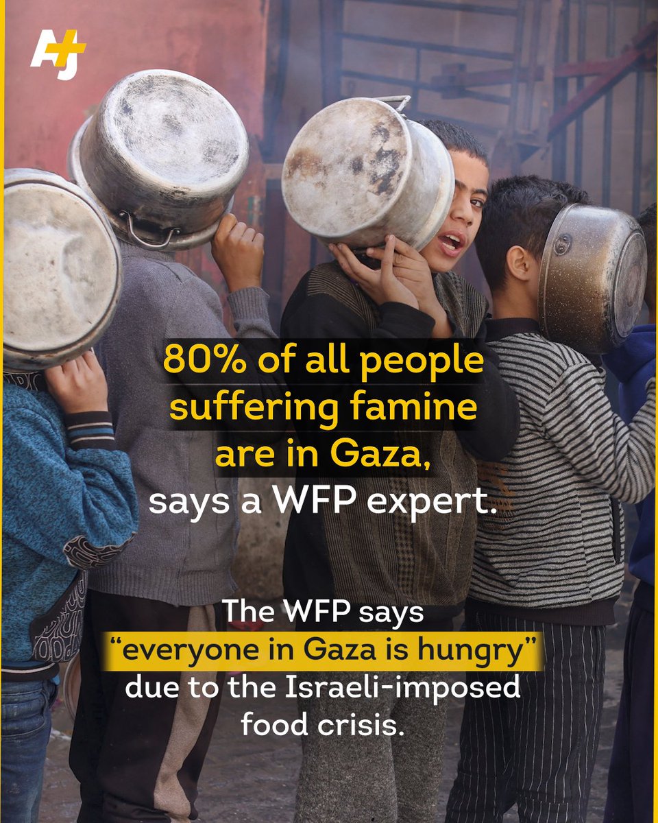 ajplus's tweet image. 4 in 5 people experiencing famine across the world are now in Gaza, says the @WFP’s chief economist.

In an interview with The New Yorker, Arif Husain said he has “never seen anything like” the food crisis Gaza is facing.
