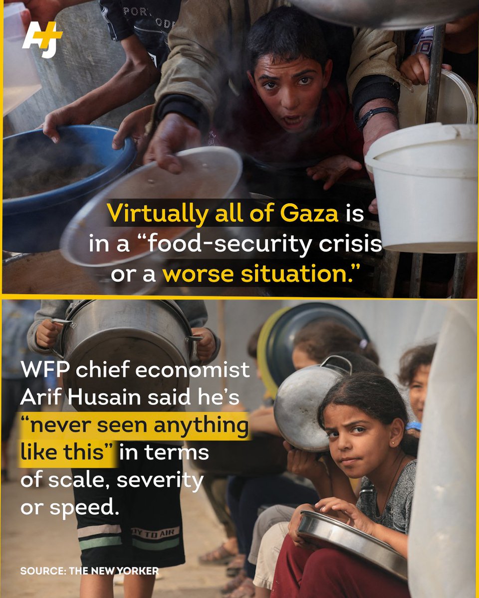 ajplus's tweet image. 4 in 5 people experiencing famine across the world are now in Gaza, says the @WFP’s chief economist.

In an interview with The New Yorker, Arif Husain said he has “never seen anything like” the food crisis Gaza is facing.