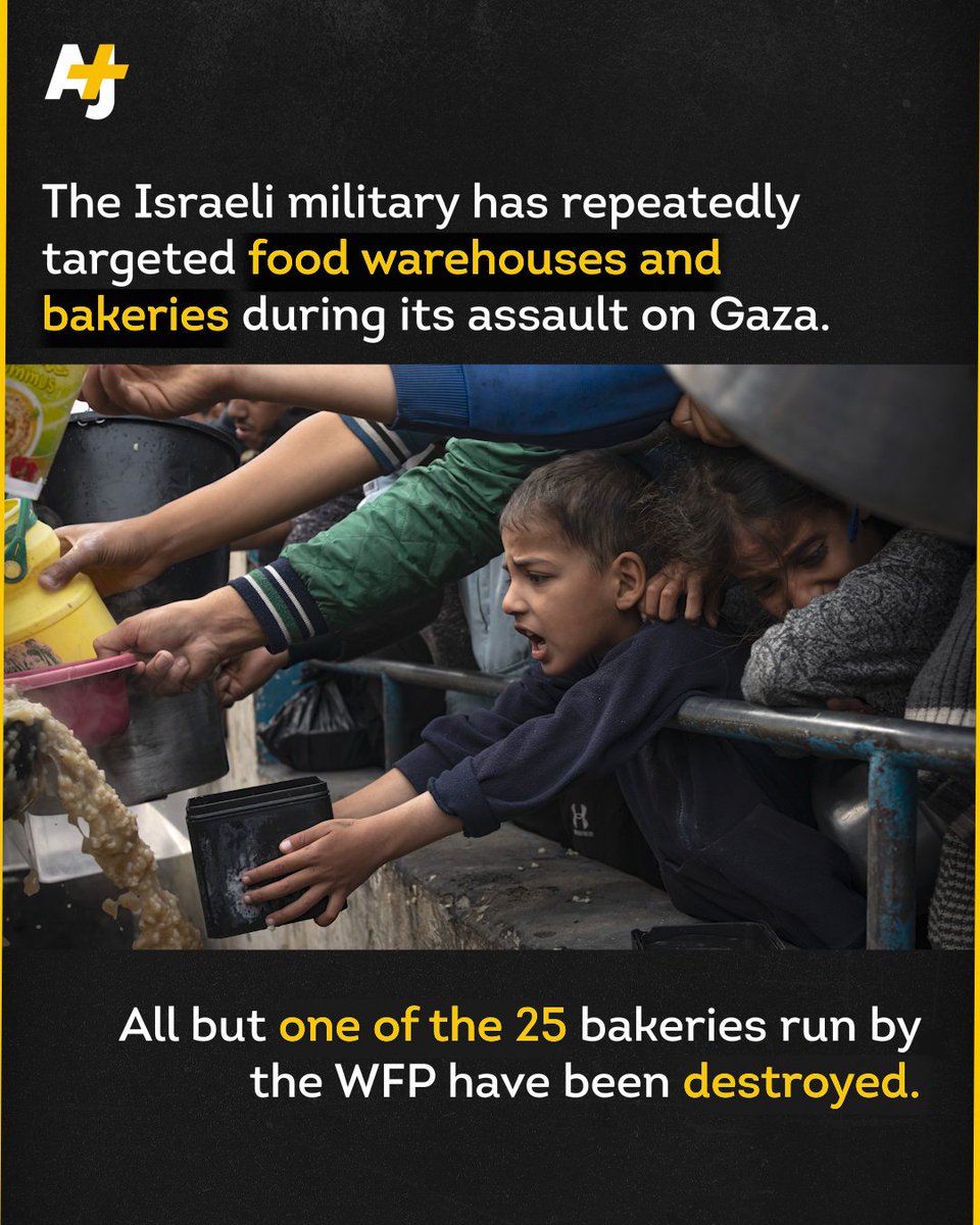 ajplus's tweet image. 4 in 5 people experiencing famine across the world are now in Gaza, says the @WFP’s chief economist.

In an interview with The New Yorker, Arif Husain said he has “never seen anything like” the food crisis Gaza is facing.