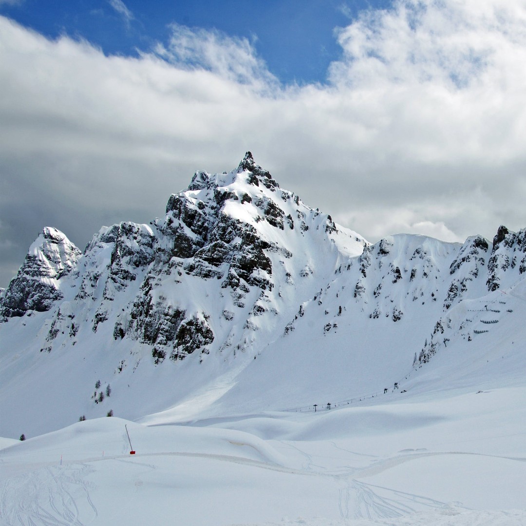 wsuvosi's tweet image. Join The Rec-Office on the annual multiday ski trip Mt. Bachelor from Jan 26-28th! 
Regerster link: forms.office.com/pages/response…

For more info contact the Rec-Office at: 
van.osirec@wsu.edu or 360-546-9532
