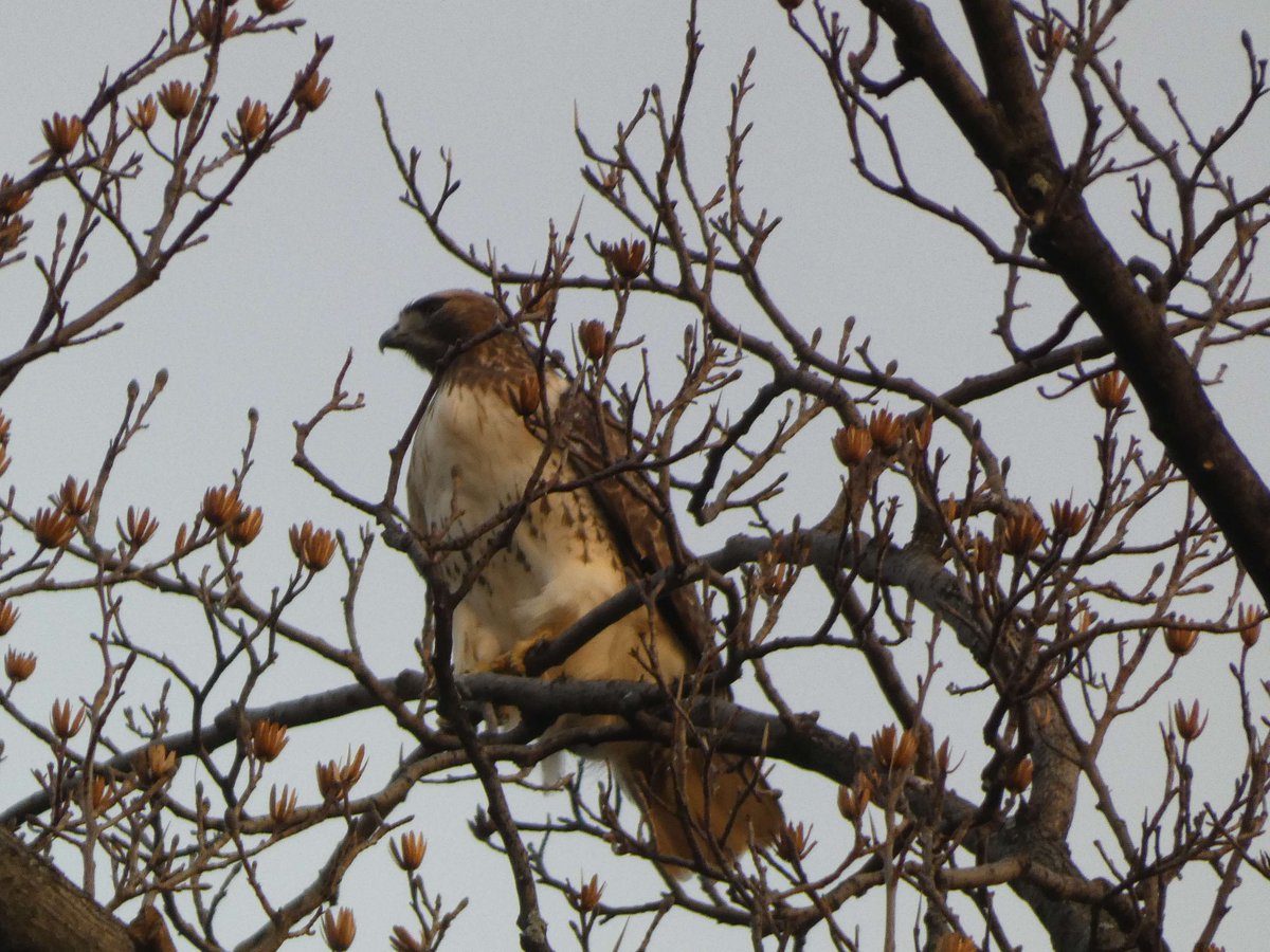 Xavier High School tweet media